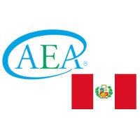 Arquitectura Empresarial en Perú (AEA Perú Chapter Formation) logo - Similar company to Mint Peru