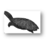 Terrapin Global Shipping Recruitment Ltd