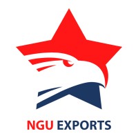 NGU Building logo - Similar company to Lavina Stones