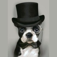 Posh Pet Resorts logo - Similar company to Hurds Hound Haven