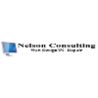 Nelson Consulting logo - Similar company to Vanchit Vikas