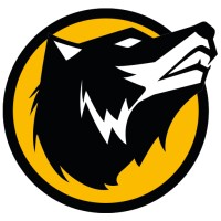 MountainWolf logo - Similar company to Berformance Group