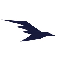 Sky Visual Imaging Venture Company Ltd. (SkyVIV) logo - Similar company to Fling.Ai