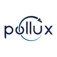 Pollux logo - Similar company to Tfc - Técnico Fuel Cell