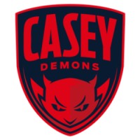 Casey Demons VNL logo - Similar company to Phoenix Management, Inc.