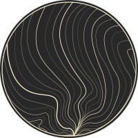 Squash® logo - Similar company to Elite Squash Academy