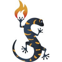 Salamander Energy Ltd. logo - Similar company to Stratego