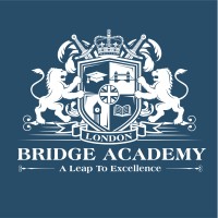 Bridge Academy logo - Similar company to Automally.Ai