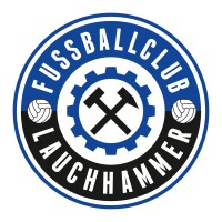 FC Lauchhammer logo - Similar company to Lincoln American University