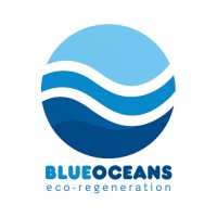 BlueOceans logo - Similar company to Blueocean-Group