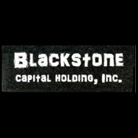 Blackstone Capital Holding logo - Similar company to Esone Capital
