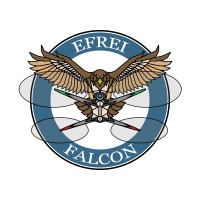 Efrei Falcon logo - Similar company to Toudoom