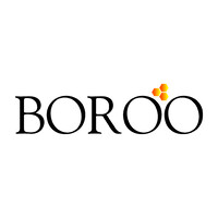 Boroo Pte. Ltd logo - Similar company to The Phoenix Group Uae
