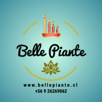 Belle Piante logo - Similar company to Goncaval