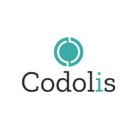 Codolis logo - Similar company to Brightmarbles