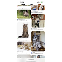 Page Qatar logo - Similar company to Softverve Technologies Pvt. Ltd.