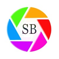 Staffbee Solutions INC logo - Similar company to Workcog Inc