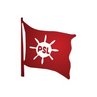 Prince Shipping Lines logo - Similar company to Ss Defence