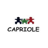 Capriole Financial Advisors Pvt. Ltd. logo - Similar company to Birdstone Advisors Pvt. Ltd.