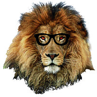 Geekleadership