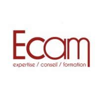 ECAM (Experts Comptables Associés de Métropole) logo - Similar company to Shinomiya Studios