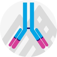 Marc & Jennifer Lipschultz Precision Immunology Institute at Icahn School of Medicine at Mount Sinai logo - Similar company to Biomedical Engineering And Imaging Institute (Bmeii)