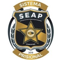 Secretaria de Estado de Administração Penitenciária do Pará logo - Similar company to Ti Comunicações