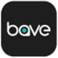 Bave Technology JSC. logo - Similar company to Vector