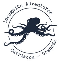 Incognito Adventures logo - Similar company to Cryo Engineering