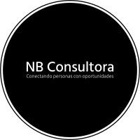 NB Consultora logo - Similar company to Bi-Fine Analytics