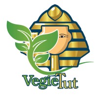 Vegie Tut (L.L.C) logo - Similar company to Gaara Group