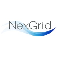 NEXGRID Ing logo - Similar company to Aveo - In Every Sense