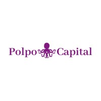 Polpo Capital logo - Similar company to Greater Property Management