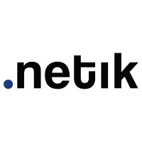 NETIK CONSULTING S.L. logo - Similar company to Sirion Developers