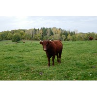 SCEA DE CASTEL NOEL logo - Similar company to Evira Gestion