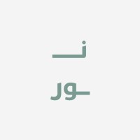 Noor - Business Solutions & Consultancy logo - Similar company to Dar Alhmaya For Security Safety Systems