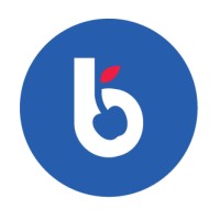 Blue Cherry Online Marketing logo - Similar company to Nick Birbara Associates