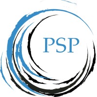 Perfect Solution Partners, LLC logo - Similar company to Damick Enterprises, Inc.