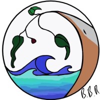 Boranup Break Records logo - Similar company to Lights Record Label