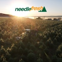 Needlefresh Direct logo - Similar company to Vicars Game Ltd