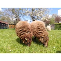 Stadsboerderij Zimmerhoeve logo - Similar company to Iederzon Bv