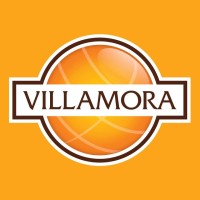 Villamora logo - Similar company to Dos.Cero - Marketing Digital