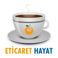Eticaret Hayat logo - Similar company to E-Ticaret Türkiye