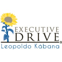 Executive drive