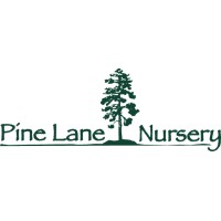 Pine Lane Nursery logo - Similar company to Black Powder Solutions Inc.