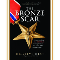 The Bronze Scar logo - Similar company to Delta Energy Distribution
