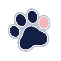 Pink Bean Studio logo - Similar company to Teuteuf Games