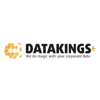 Datakings BI logo - Similar company to Modusolutions