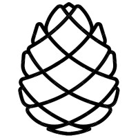 PINEAL CONSULTING logo - Similar company to Websem Publicity