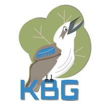 Kookaburra Business Group